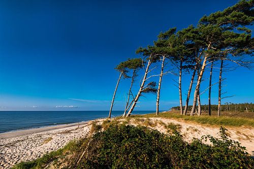 Oostzee