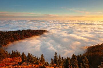 Sonnenaufgang über dem Nebelmeer von Markus Lange