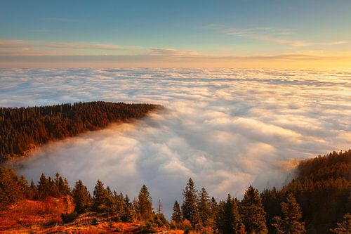 Sunrise over the sea of fog