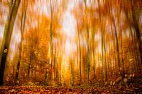 Herbst