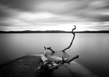 Branch long exposure lake, Christian Lindsten by 1x