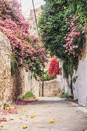 Gasse mit Zitronen von Patrycja Polechonska
