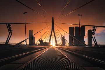 Sonnenaufgang Erasmusbrücke von Vincent Fennis