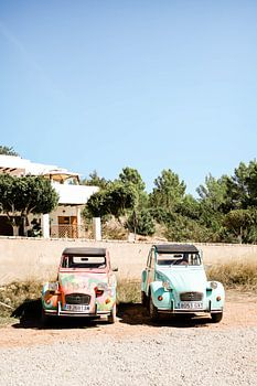 Kleurrijke Ibiza auto's
