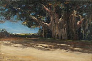 Georges Sabbagh, Die Platanen des alten Kairo