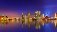 Mirrored Reflections