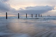Poteaux de plage dans la mer par Ton de Koning Aperçu