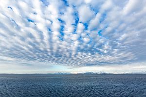 Svalbard - Spitzberg - Arctique