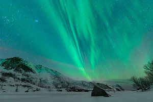 Northern lights in the dark starry winter night