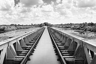 Moerputten Oude spoorbrug Den Bosch in zwartwit van Marianne van der Zee thumbnail
