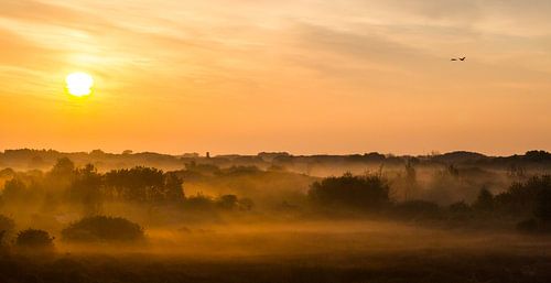 Panorama zonsopkomst duinen met mist Katwijk