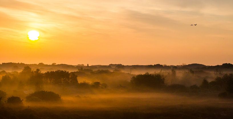 Panorama zonsopkomst duinen met mist Katwijk van Menno van Duijn