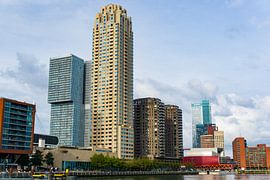 Head of South. by Onno Alblas