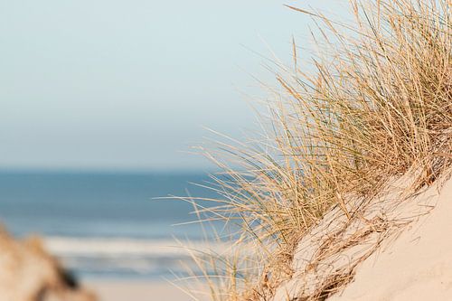 Helmgras op een duin met uitzicht op zee – Terschelling