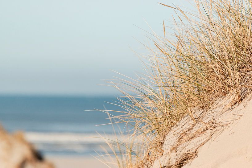 Paysage de dunes avec vue sur la mer aux îles de la mer des Wadden par Marjan Schmit Visser