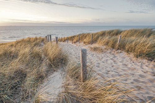 Plage et mer sur la côte néerlandaise