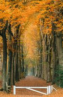 Anwesen Avenue Prattenburg