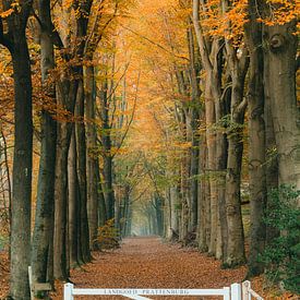 Anwesen Avenue Prattenburg von Bart van den Dikkenberg
