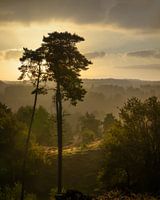 picturesque sunrise