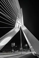 Erasmus Bridge in black and white in special perspective