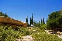 Negev desert
