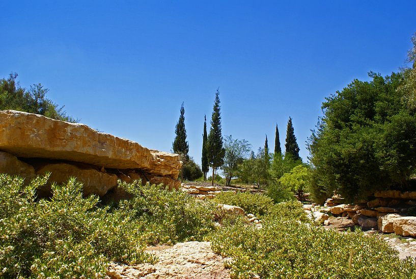 Negev desert by Ben Hoftijzer