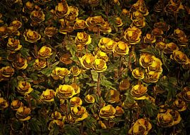 Roses – Yellow roses by Jan Keteleer