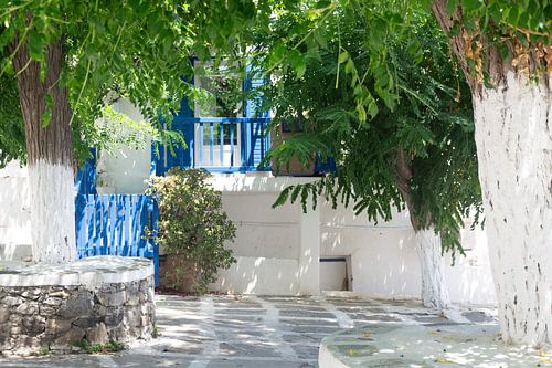 Pleintje met groene bomen en blauwe vensterluiken in Mykonos-Stad