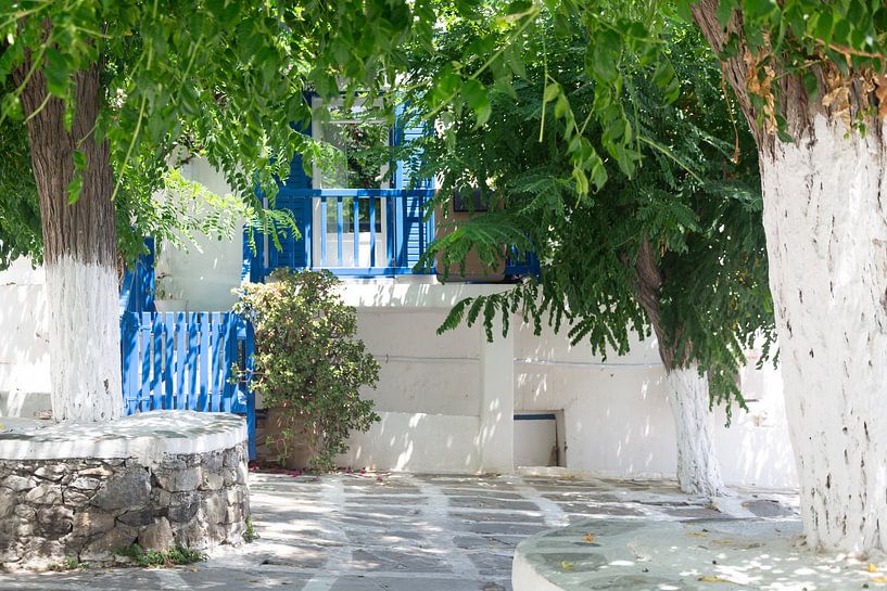 Platz mit grünen Bäumen und blauen Fensterläden in Mykonos-Stadt von Xulé Bogers