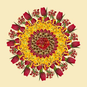 Girlande/Mandala-Tulpen von Klaartje Majoor
