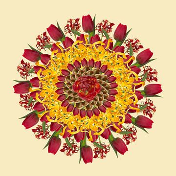 Girlande/Mandala-Tulpen
