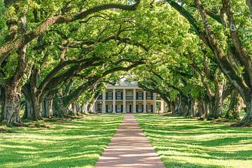 Oak Alley Plantation. van Jaap van den Berg