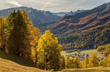 Views of autumn in the Val Müstair