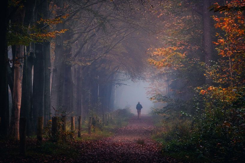L'automne apporte l'équilibre par Bob Vandenberg