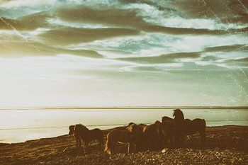 Saman erum við sterk