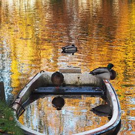 A peaceful moment by Dominique Landau