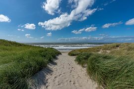 Strand Streikpfahl 20 Strand Texel von Richard Heerschap Fotografie