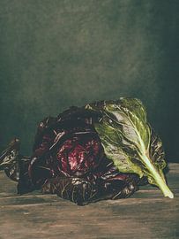 Radicchio rosso by Miriam Meijer, en pleine campagne.....