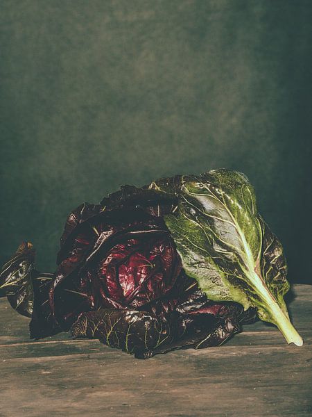 Radicchio rosso van Miriam Meijer, en pleine campagne.....