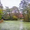 Barendrecht: herfst in Park Buitennoord van Ad Van Koppen Fotografie