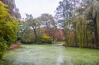Herfst in Park Buitenoord van Ad Van Koppen thumbnail