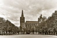 La cathédrale Saint-Jean et la parade de 's-Hertogenbosch (dans le passé) par Fotografie Jeronimo Aperçu