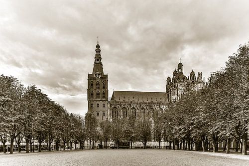 Sint-Janskathedraal en de Parade in 's-Hertogenbosch (back in time)