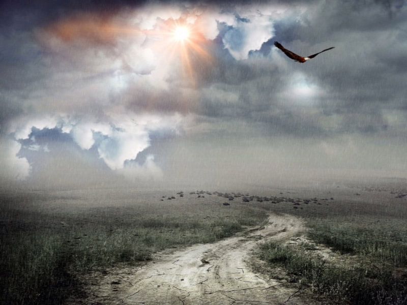 distance by Gerard Stokhuyzen