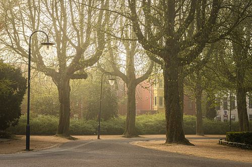Noorderplantsoen Groningen, Mistig bomen in het Noorderplantsoen bij de plantsoenvijver