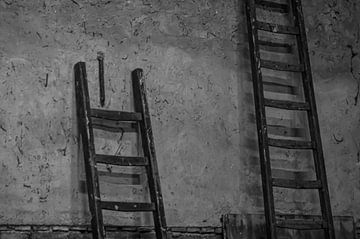 Houten ladders van Niek Traas