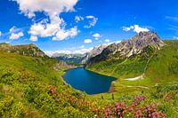 Idyllische Tappenkar met alpenrozen