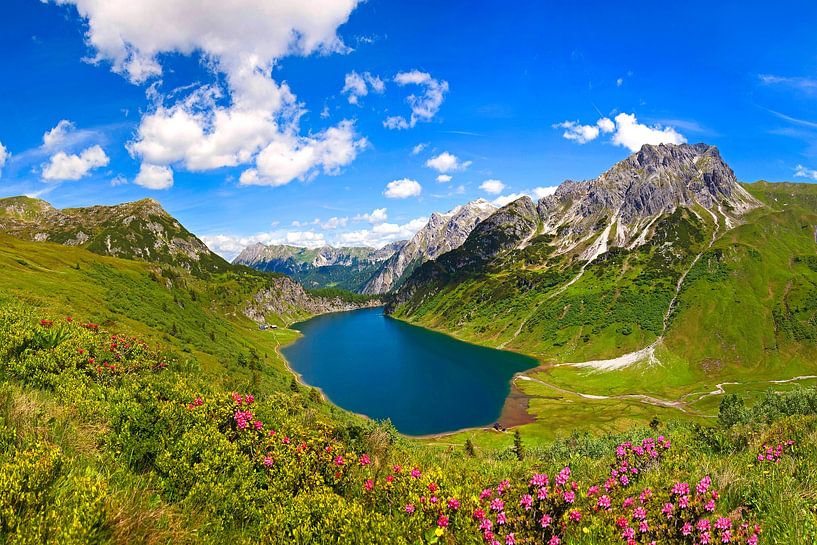 Idyllische Tappenkar met alpenrozen van Christa Kramer