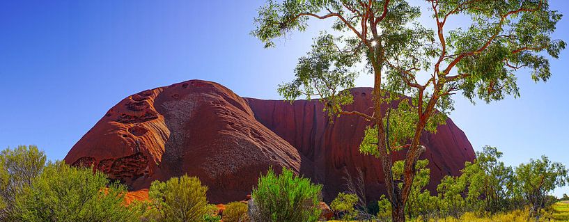 Uluru Panorama by Stefan Havadi-Nagy