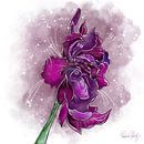 Blumenmotiv - Gladiole von Patricia Piotrak Miniaturansicht